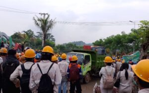 IMG-20250302-WA0244