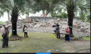 IMG-20260102-WA0045