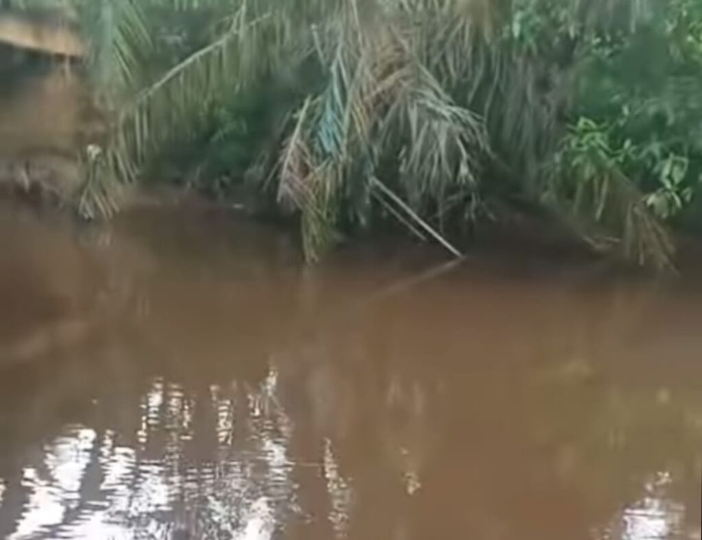 Heboh Dugaan Limbah PT FAA di Sungai Giti, Ikan Mati dan Air Keruh Picu Keresahan Warga