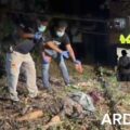 Wanita 71 Thn Ditemukan Tewas Di Kebun Jeruk , Polisi Selidiki Dugaan Pembunuhan
