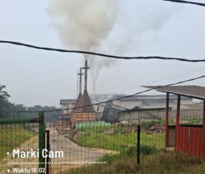 IMG_20261008_105135